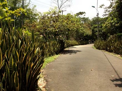 Inscripciones para recorrido por la ‘Ruta Verde’ de Cali