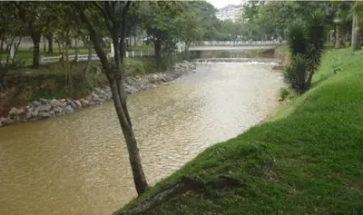 Proyecto del Dagma en los ríos fue clave en prevención de emergencia por lluvias