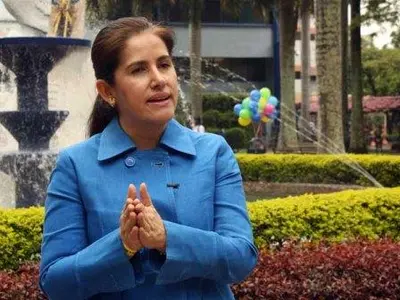 La madera de la ceiba que se desplomó será entregada a centros de ebanistería de estrato 1, en Cali