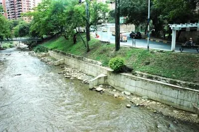 La ciudad se unirá para cubrir la ribera del río Cali y el Jardín Botánico con 3 mil árboles