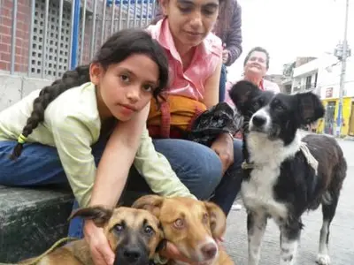 Mascotas de la Comuna 20 tuvieron jornada de esterilización