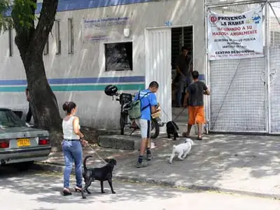 Más de 460 mascotas en Cali fueron inmunizadas contra la rabia