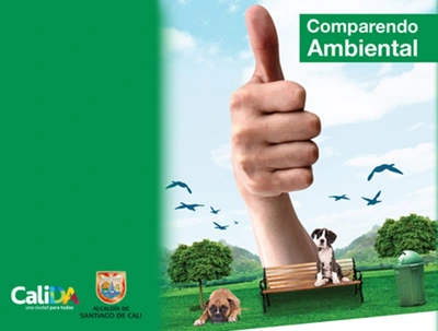 De usted depende tener un ambiente sano para todos: tenga en cuenta el Comparendo Ambiental
