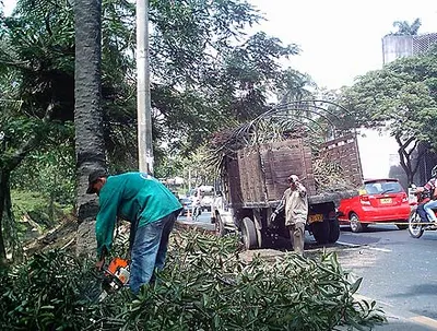 De usted depende que todos disfrutemos un ambiente sano: tenga en cuenta el Comparendo Ambiental