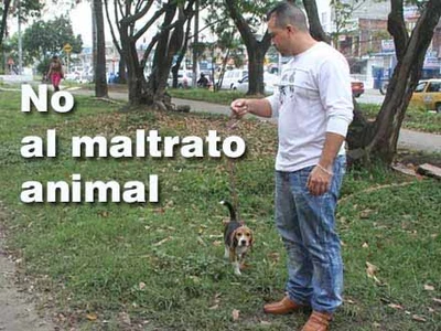 Este domingo, caleños participarán en marcha por el respeto hacia los animales