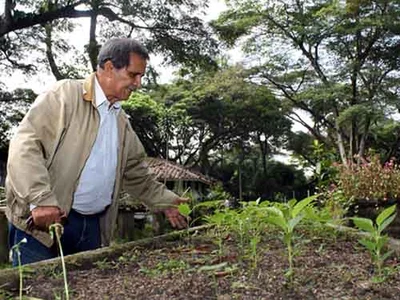 12 de octubre, Día Nacional del Árbol: el Dagma empieza a sembrar guayacanes