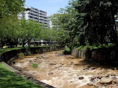 Dos días de ‘Plantón verde por Cali’: jornadas de arborización generarán 250 empleos