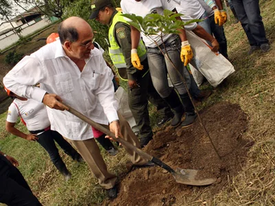 Comenzó el Plantón verde por Cali, en el norte de la ciudad