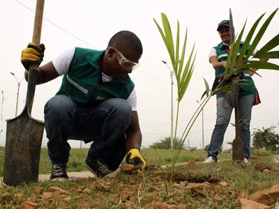 La comunidad educativa de la institución Nuevo Latir sembró árboles y vivió una semana ambiental