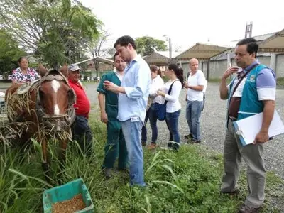 Pico y Placa para jornadas de validación del censo del 2006 con los carretilleros