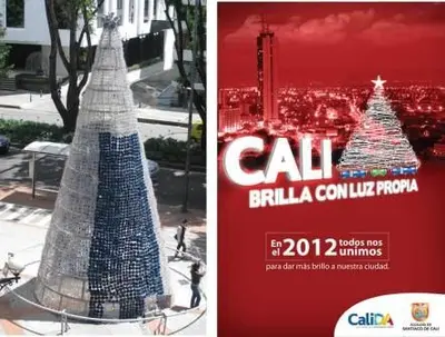 Árboles de 10 metros de altura engalarán siete parques en este diciembre
