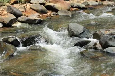 La institución educativa Pance cerró una semana cultural rindiéndole culto al agua