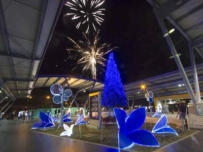 Cali ya brilla con luz propia:  los caleños disfrutan el alumbrado navideño en la ciudad