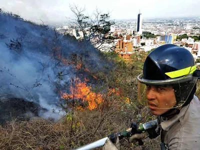 La comunidad puede evitar los incendios forestales: consejos en esta época de calor