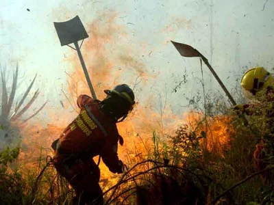 La ciudad conforma la Comisión de Incendios Forestales: tomará medidas frente a emergencias