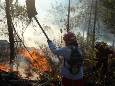 200 militares y policías recibirán capacitaciones para apoyar a organismos de socorro en casos de incendios forestales