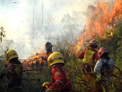 Organismos de socorro y la Alcaldía, trabajan por evitar nuevos  incendios en el oeste caleño