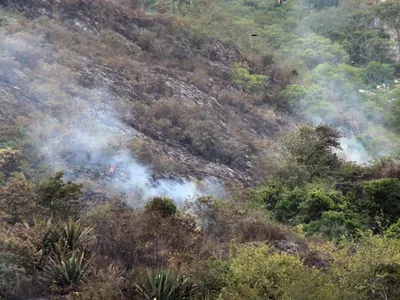 “La emergencia en las Tres Cruces habría sido provocada”; van 69 incendios forestales