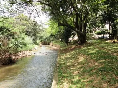 Cali conmemorará la Semana del Agua en una jornada con apoyo de la Nación: ¡Inscríbase y participe!