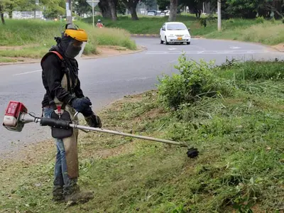 Sigue la transformación de zonas verdes en Cali; avanzan jornadas de poda y mantenimiento