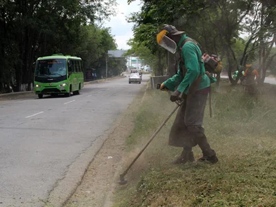 El mantenimiento de zonas verdes llegó hasta los separadores viales