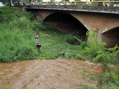 Separadores viales y riberas de los ríos,  prioridad en mantenimiento de zonas verdes
