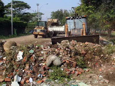 Escombros y el patrimonio arbóreo de Cali, en la mira de inversionistas extranjeros