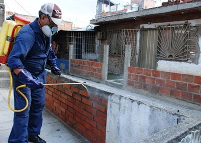 El secretario de Salud de Cali y un equipo de operarios combatirán al transmisor del dengue; este jueves, gran fumigación