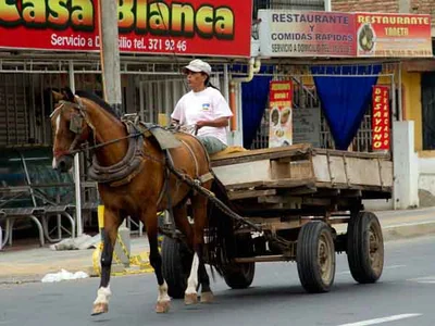 La sustitución de vehículos de tracción animal en Cali, en la recta final
