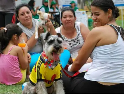 La Ciclovida en El Ingenio tendrá otra zona para hacer deporte con las mascotas