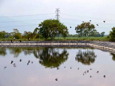 La planta de tratamiento de lixiviados en Navarro se debe construir en ocho meses