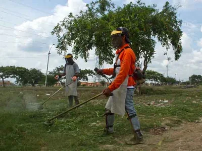 Sigue mantenimiento de zonas verdes; esta semana y la próxima, poda en 11 comunas