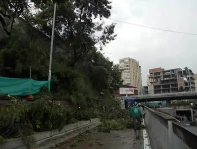 El Dagma se une a jornada de últimos retoques en inmediaciones del túnel de la Avda. Colombia