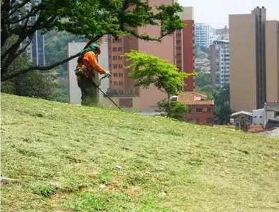 El Dagma continúa labores de mantenimiento en zonas verdes de Cali