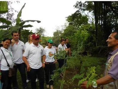 Más de 600 caleños y turistas han disfrutado la Ruta Verde de Cali promovida por el Dagma