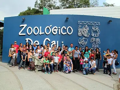 Hoy, el Zoológico de Cali, con el respaldo del Alcalde, inaugura zona de exhibición de primates: ‘Jaziquima, los hombres de la selva’