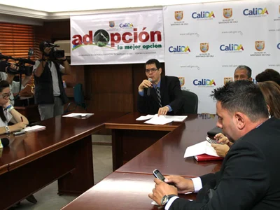 La Secretaría de Salud de Cali explica en qué consiste el proceso de adopción de equinos dentro de la sustitución de los carretilleros