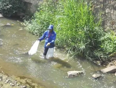 El Dagma apoyó jornada de limpieza en el río Cali