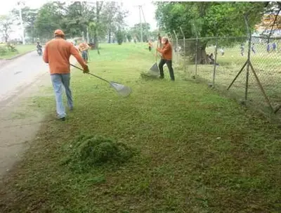El Dagma le cumplió a  la ciudad  con el mantenimiento arbóreo y de zonas verdes para los Juegos Mundiales