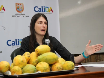 Días de ‘papayazo’ tributario para la ciudadanía