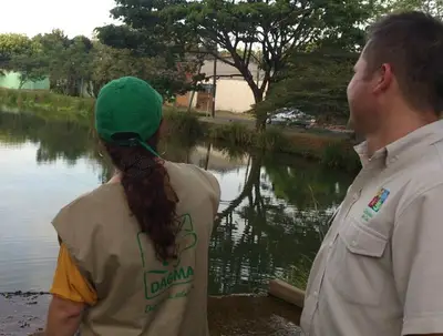 Comunidad de Ciudad Jardín aceptó quedarse con la  babilla del humedal y acordó con el Dagma el  aislamiento del reptil