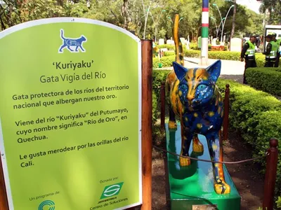 “Kuriyáku” aumenta las Gatas del Río