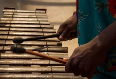 Listos grupos de Marimba para el Petronio Álvarez