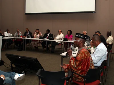 Afros crearán organismo de instancia ante la ONU