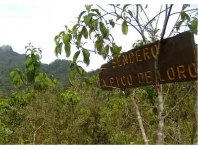 Reiteran recomendaciones a quienes quieran aventurarse en Pico de Loro