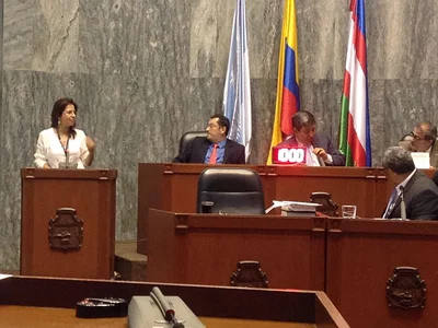 Cali ya cuenta con Estatuto de Silvicultura Urbana; queda a la altura de ciudades como Bogotá y Medellín