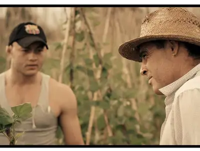 Festival Internacional de Cine de Cali proyectará en sectores populares de la ciudad
