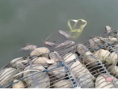 Resultados de calidad de agua de Laguna de Charco Azul saldrán en dos semanas