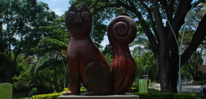 Avanza restauración del Gato del Río