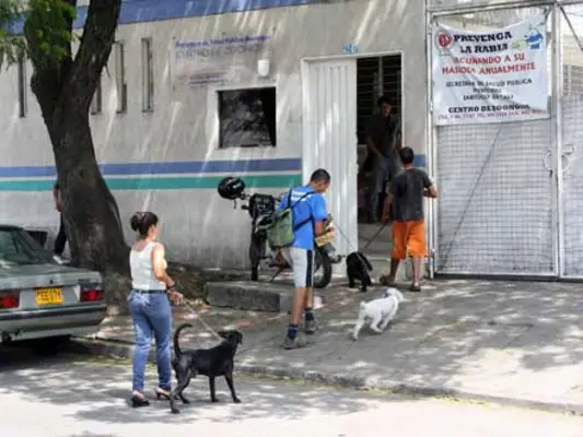 Castración química para los perros de Cali
